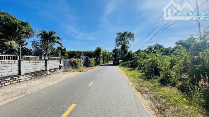 BÁN ĐẤT THỊ TRẤN LONG ĐIỀN BÀ RỊA VŨNG TÀU - 3
