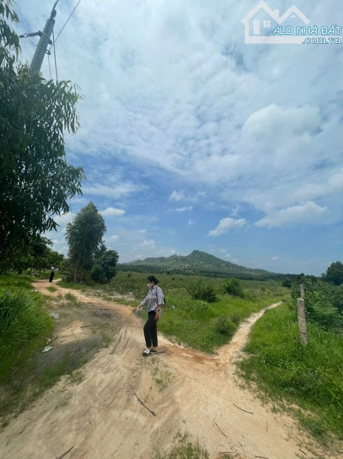 cần bán 1,4 mẫu đất lô 2  NGUYỄN  MINH CHÂU , THỊ XÃ LAGI BINH THUẬN, cach nhà nguyện 200M - 3