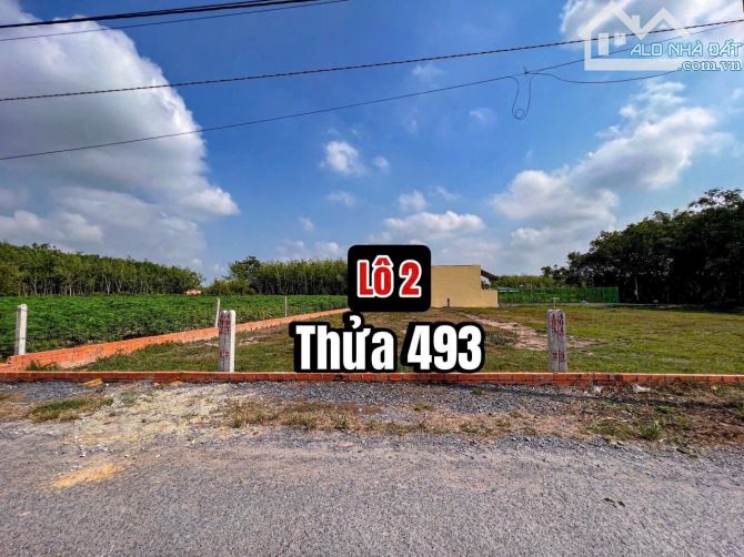 ✨ ĐẤT ĐƯỜNG NHỰA, GIÁ TIỀN ĐƯỜNG ĐẤT: Ngang 5m x Dài 25m (Full ONT). Nhà dân đông - 470Tr - 3