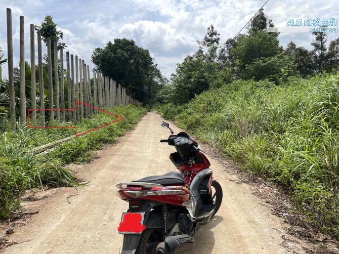 💥Đất 1,1 sào,mặt tiền 25m,hẻm Hà Huy Tập,đối diện Ân Phú,gần Hoàng Việt,nhiều lô khác - 3