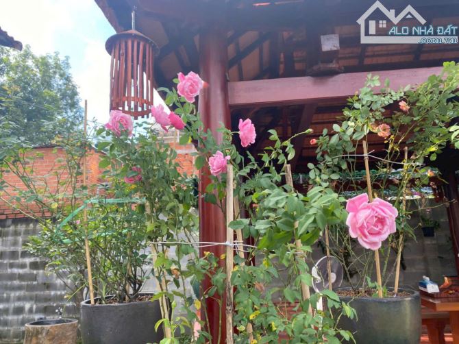 Biệt thự đẹp Củ Chi, 757m2 thổ cư, đường xe hơi,nội thất gỗ cao cấp,giá chỉ 11 tỷ TL - 4