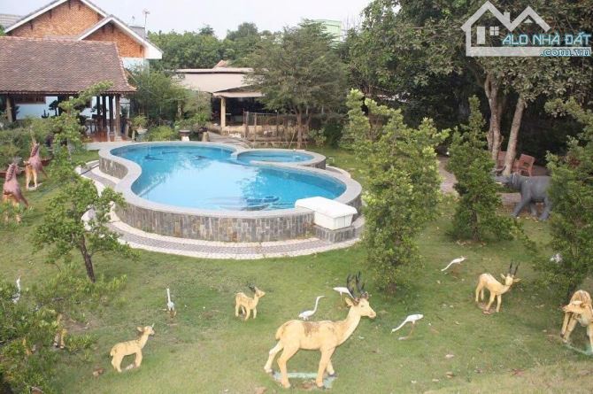 BIỆT THỰ SÂN VƯỜN 1125m2 ĐỖ ĐĂNG TUYỂN CỦ CHI 15X75 VỊ TRÍ ĐẸP - 4