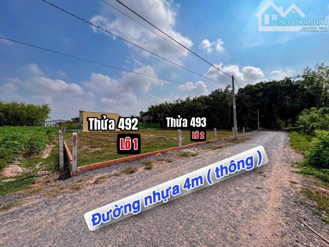 ✨ ĐẤT ĐƯỜNG NHỰA, GIÁ TIỀN ĐƯỜNG ĐẤT: Ngang 5m x Dài 25m (Full ONT). Nhà dân đông - 470Tr - 4