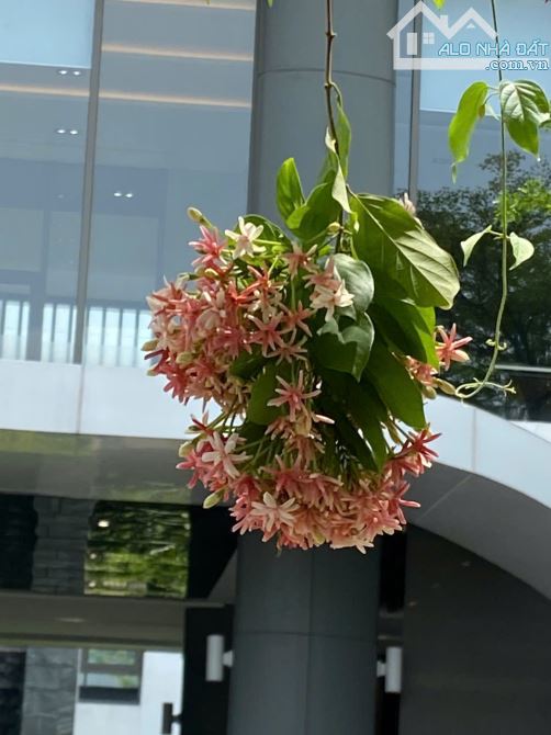 Bán Nhà Phố the Standard Bình Dương cách AEON 5