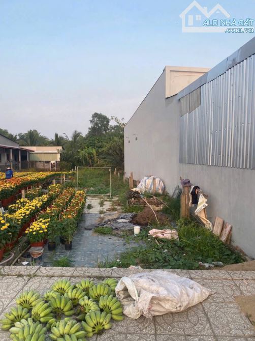 bán nền mặt tiền đường bờ kè mương khai, wieu bờ kè, sông thoáng mát vị trí đẹp - 6