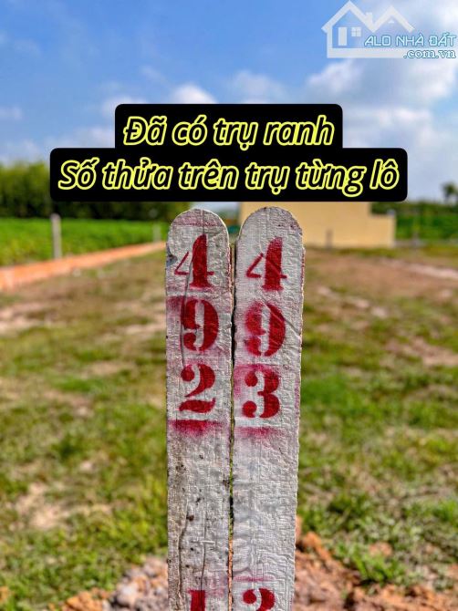 ✨ ĐẤT ĐƯỜNG NHỰA, GIÁ TIỀN ĐƯỜNG ĐẤT: Ngang 5m x Dài 25m (Full ONT). Nhà dân đông - 470Tr - 6
