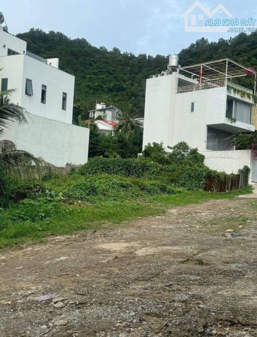 BÁN ĐẤT BIỆT THỰ BÃI DÂU 520 M2 GIÁ 25 TỶ - 3