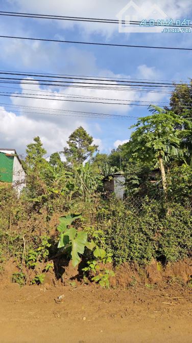 Trục chính buôn Jung kết nối trực tiếp ra đường Hồ Chí Minh , cao tốc KH - BMT