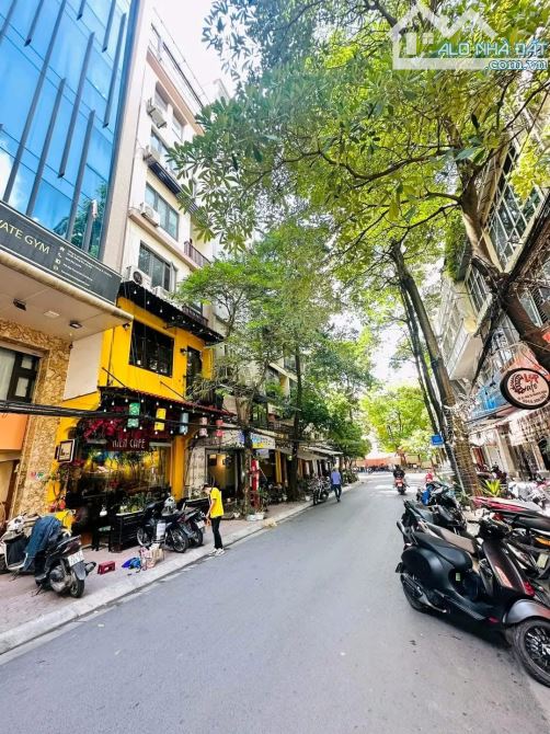 Nguyên Hồng - Huỳnh Thúc Kháng, toà nhà 7 tầng, thang máy, bề thế, kinh doanh.