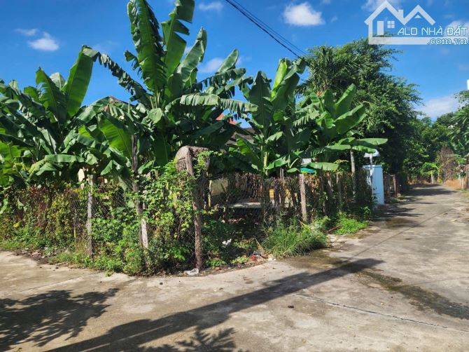 Bán dãy trọ đường ô tô diên an ngang 10m giá tốt - 1