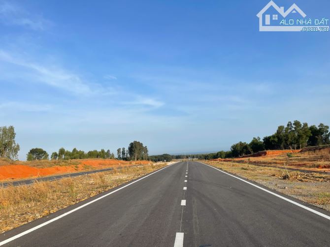 Bán 4,7HA đất chỉ 200nghìn/m2 xã tiến thành, thành phố phan thiết, tỉnh Bình Thuận - 1