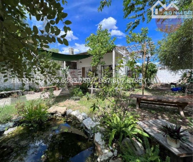 ☀️BÁN ĐẤT DIỆN TÍCH LỚN, HAI SỔ RIÊNG  – Đường Nguyễn Duy Trinh, Hòa Hải, Ngũ Hành Sơn, - 1