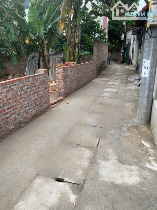 HÀNG NÓNG HỔI- ĐẤT GIA LÂM -GIÁ RẺ - 1