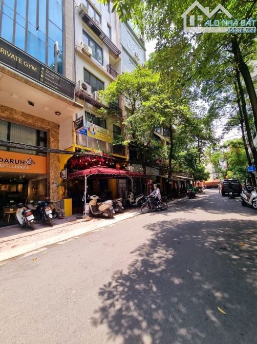 Nguyên Hồng - Huỳnh Thúc Kháng, toà nhà 7 tầng, thang máy, bề thế, kinh doanh. - 1