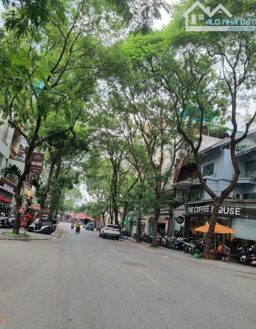 Bán nhà mặt phố Trần Nguyên Đán 60m2, 4 tầng, cho thuê 40 triệu/ tháng, giá 28 tỷ. - 1