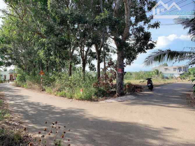 Bán khoảng 5 sào 1 (5124m2) đất Bình Ba, huyện Châu Đức, BRVT. - 1