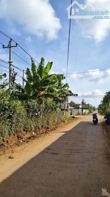 Trục chính buôn Jung kết nối trực tiếp ra đường Hồ Chí Minh , cao tốc KH - BMT - 2