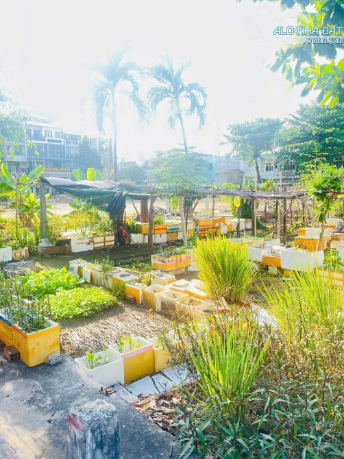 Bán đất MT đường 447B - Lê Văn Việt, Tăng Nhơn Phú A, TP Thủ Đức. 72m2/7.5 tỷ. - 2