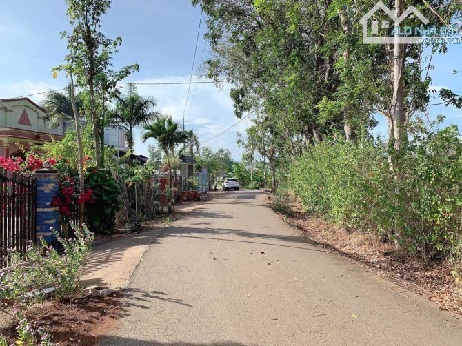 Bán khoảng 5 sào 1 (5124m2) đất Bình Ba, huyện Châu Đức, BRVT. - 2