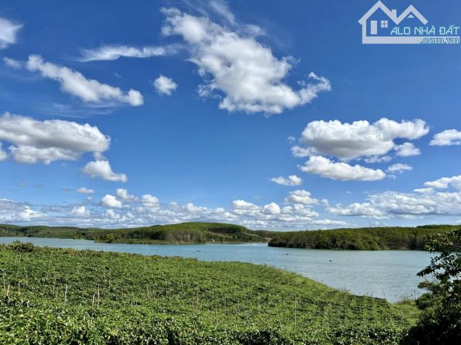 ✨ 4.345m2 với 41M đường sỏi đỏ, 123M Mặt tiền hông và hơn 70M tiếp giáp mặt nước - 1.15 Tỷ - 3