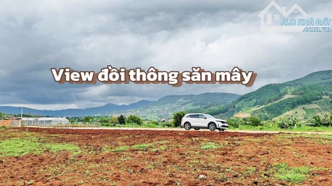 ✨ Lô đất ven Đà Lạt: 5M8 x 35M (139m2 ONT). View trực diện hồ và đồi thông săn mây - 779TR - 3