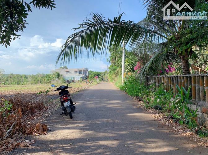 Bán khoảng 5 sào 1 (5124m2) đất Bình Ba, huyện Châu Đức, BRVT. - 3