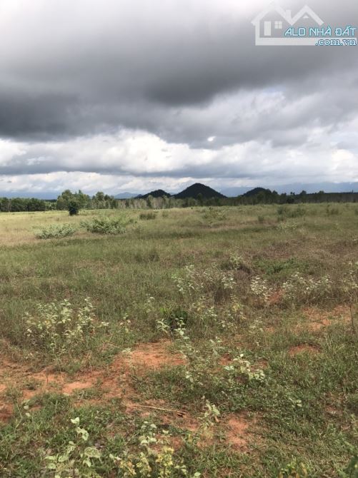Bán 4,7HA đất chỉ 200nghìn/m2 xã tiến thành, thành phố phan thiết, tỉnh Bình Thuận - 4