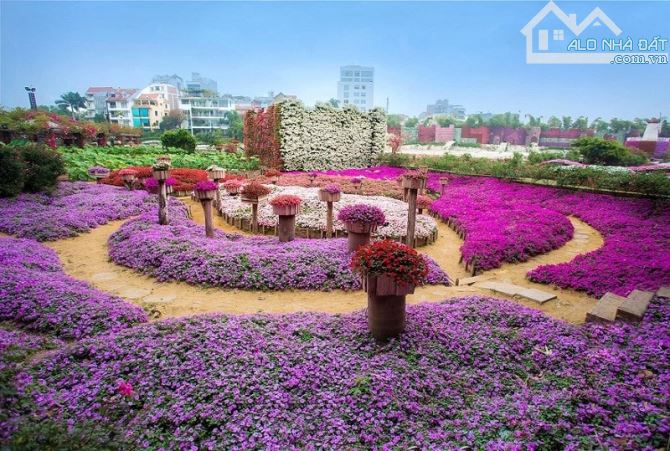 Nhà Tô Ngọc Vân ô tô đua xe, View hồ tây 66 M2 4 T 19 TỶ, mặt tiền 4.8m sổ vuông A4 rẻ lắm - 4