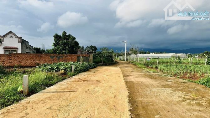 ✨ Lô đất ven Đà Lạt: 5M8 x 35M (139m2 ONT). View trực diện hồ và đồi thông săn mây - 779TR - 4