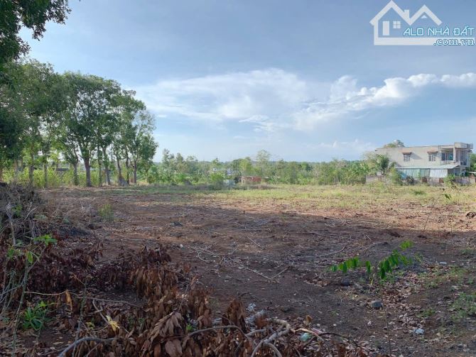 Bán khoảng 5 sào 1 (5124m2) đất Bình Ba, huyện Châu Đức, BRVT. - 4