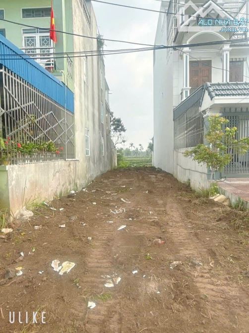 Bán đất Hồi Xuân - Tú Sơn - Kiến Thụy - Hải Phòng - 5