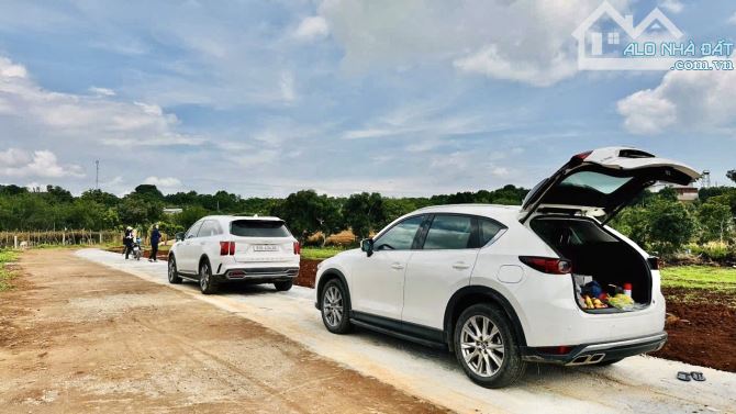 ✨ Lô đất ven Đà Lạt: 5M8 x 35M (139m2 ONT). View trực diện hồ và đồi thông săn mây - 779TR - 5