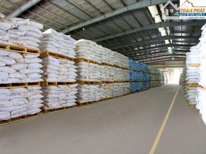 Cho Thuê Kho Chứa Hàng Thức Ăn Chăn Nuôi Gần Bến Xe Miền Đông