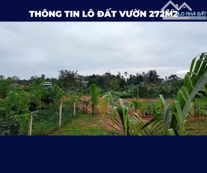 Bán đất khu vực Hoà Vang, đất trồng cây, oto vào tận nơi