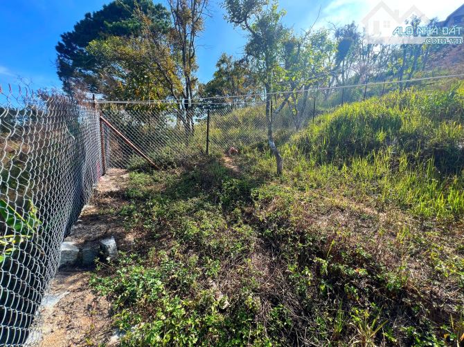 🔥 SIÊU PHẨM ĐẤT VIEW ĐỒI NÚI ĐƯỜNG 3 THÁNG 4 - NGAY CỬA NGÕ ĐÀ LẠT - GIÁ TỐT ĐẦU TƯ! 🔥 - 10