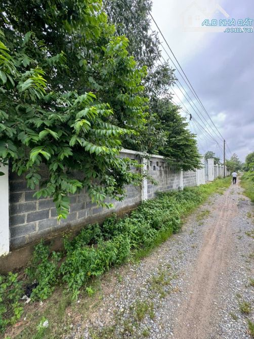 Bán gấp gần 4sào đất phước an H.Nhơn Trạch, shr, ô tô, gần GX.Đại Điên, chỉ 16ty Tl. - 1