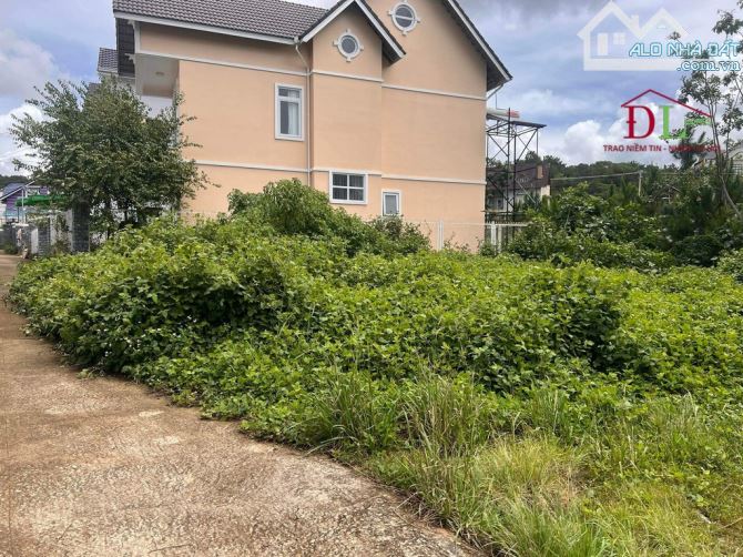 (30tr/m2) Bán đất Mai Anh Đào phường 8 Đà Lạt an cư nghỉ dưỡng. - 1