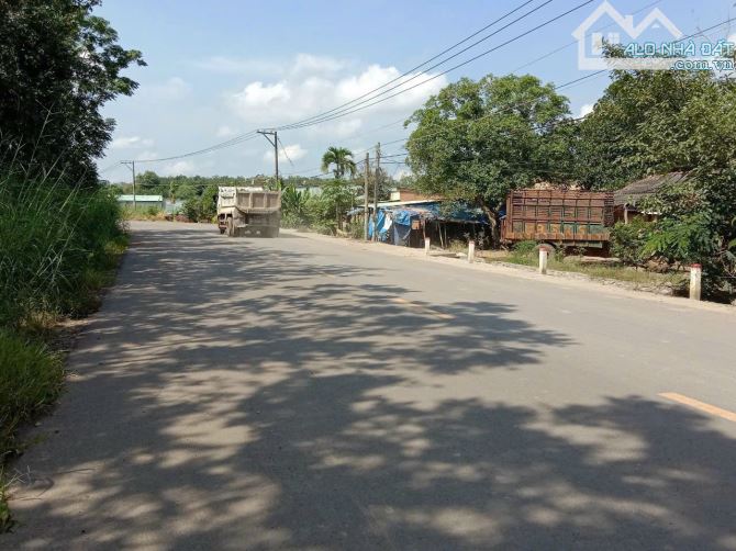 Đất sào 14x65m. Tiến Hưng, T.P Đồng Xoài - 1
