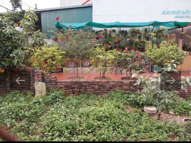 Bán đất Mai Lâm 115m2, mt5m, 9.6 tỷ, Đông Anh, ô tô, mở đê. . - 1