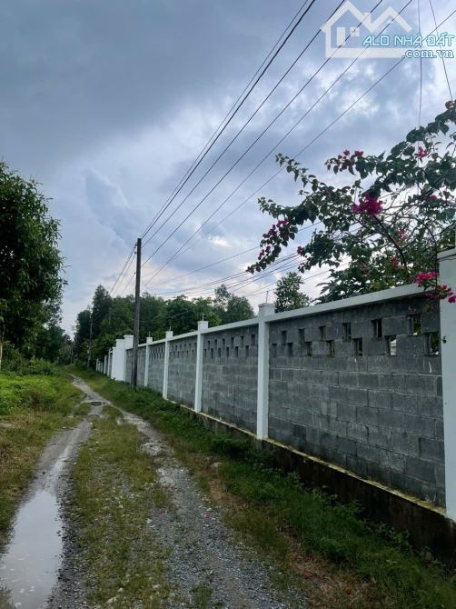Bán gấp gần 4sào đất phước an H.Nhơn Trạch, shr, ô tô, gần GX.Đại Điên, chỉ 16ty Tl. - 2
