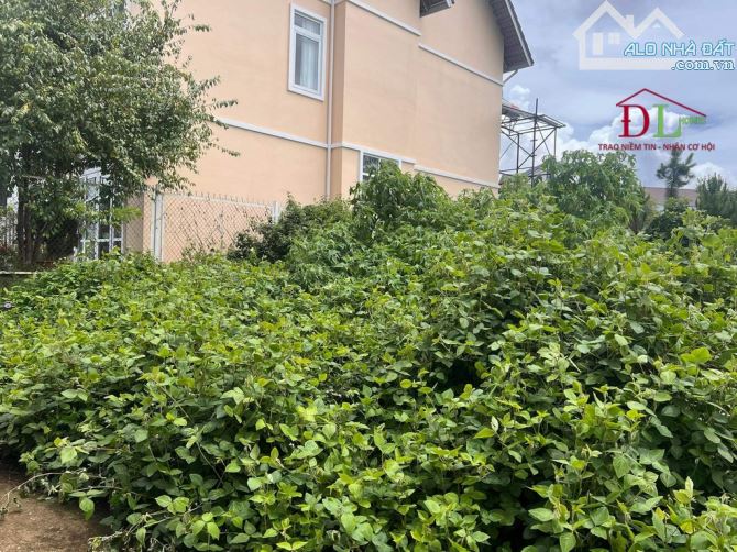 (30tr/m2) Bán đất Mai Anh Đào phường 8 Đà Lạt an cư nghỉ dưỡng. - 2