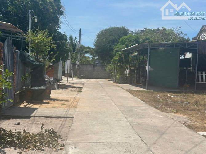 🔵 Bán Lô Đất 6x16(96m2) Lô 2 Nguyễn Tri Phương Tân Bình Giá 1,2 tỷ - 3
