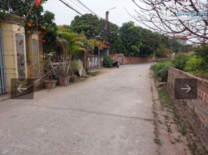 Bán đất Mai Lâm 115m2, mt5m, 9.6 tỷ, Đông Anh, ô tô, mở đê. . - 3