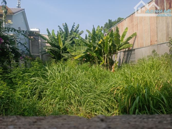 Bán gấp gần 4sào đất phước an H.Nhơn Trạch, shr, ô tô, gần GX.Đại Điên, chỉ 16ty Tl. - 4