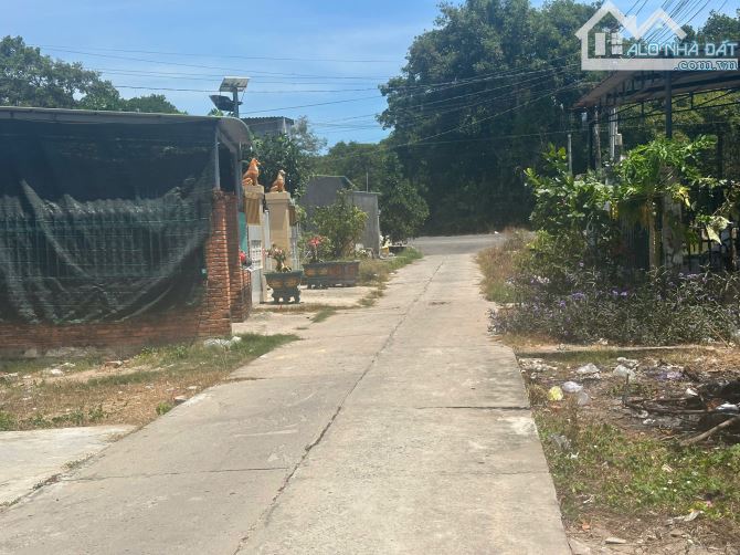 🔵 Bán Lô Đất 6x16(96m2) Lô 2 Nguyễn Tri Phương Tân Bình Giá 1,2 tỷ - 4
