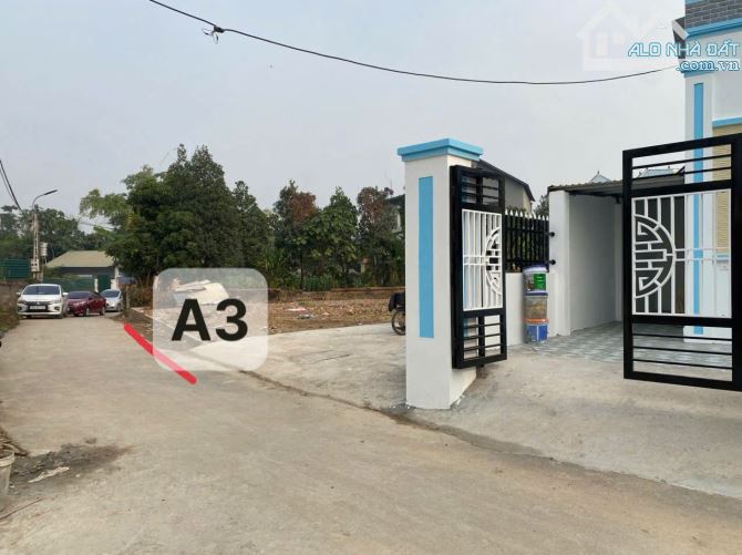 Bán Đất thị trấn hợp châu 2mt _đg nhựa - 4