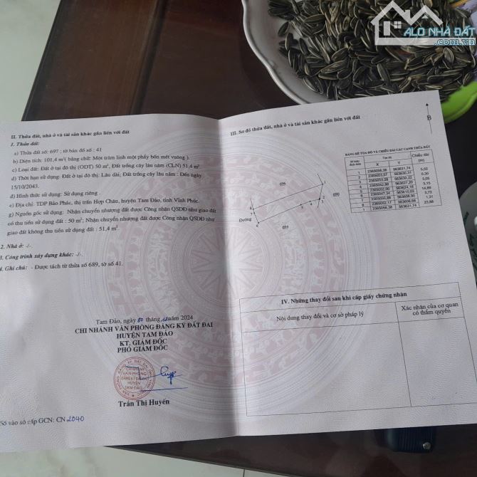 Bán Đất thị trấn hợp châu 2mt _đg nhựa - 5