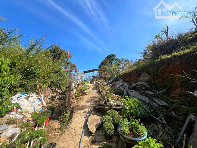 🔥 SIÊU PHẨM ĐẤT VIEW ĐỒI NÚI ĐƯỜNG 3 THÁNG 4 - NGAY CỬA NGÕ ĐÀ LẠT - GIÁ TỐT ĐẦU TƯ! 🔥 - 6