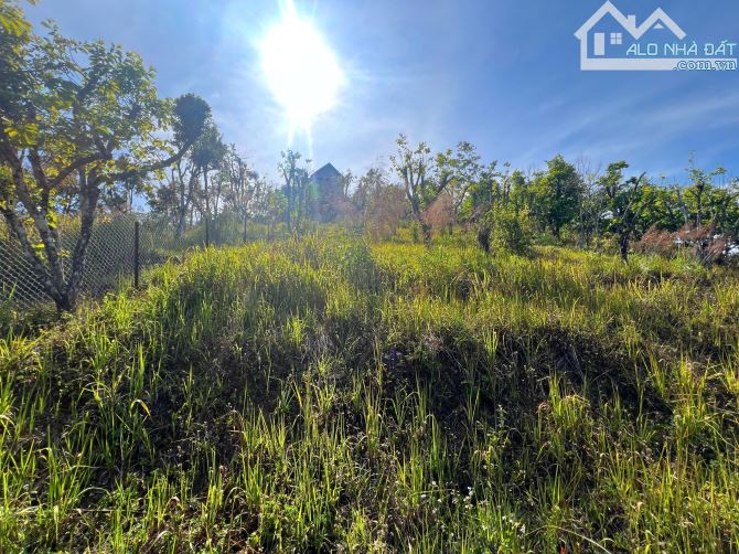 🔥 SIÊU PHẨM ĐẤT VIEW ĐỒI NÚI ĐƯỜNG 3 THÁNG 4 - NGAY CỬA NGÕ ĐÀ LẠT - GIÁ TỐT ĐẦU TƯ! 🔥 - 9
