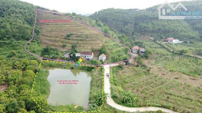Bán đất Tân Mộc Lục Ngạn Bắc Giang DT 8500m2 trong đó có 400m2 thổ cư giá rẻ quá chỉ 1,8ty